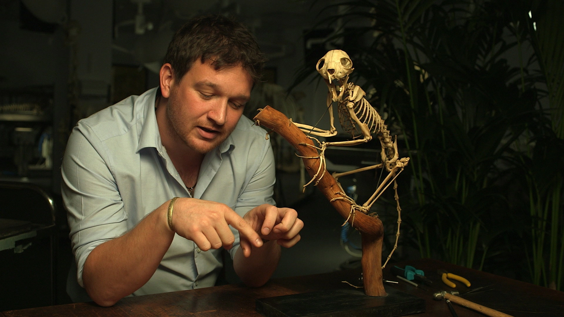 Secrets of Bones
