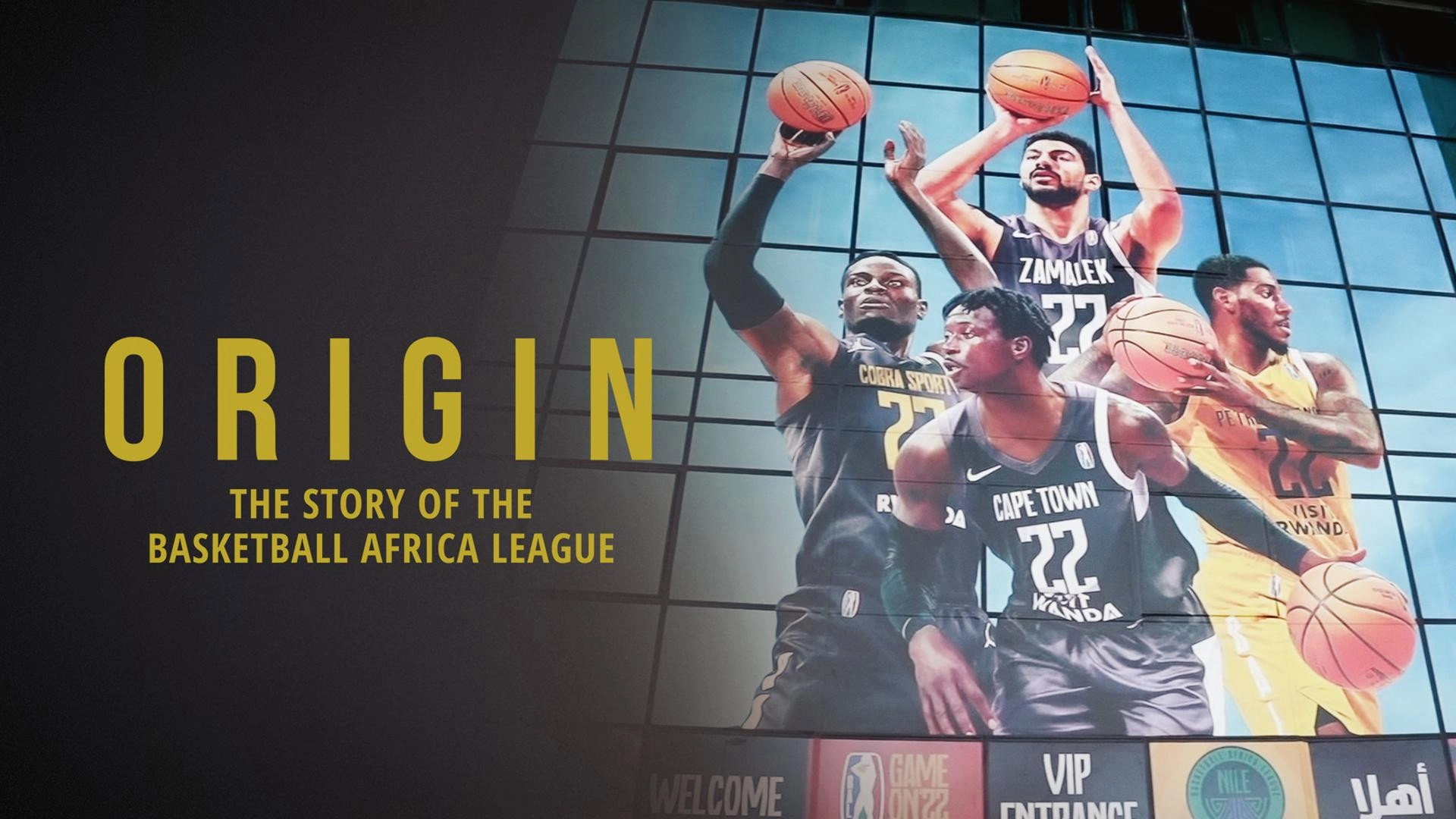 Origin: The Story of the Basketball Africa League