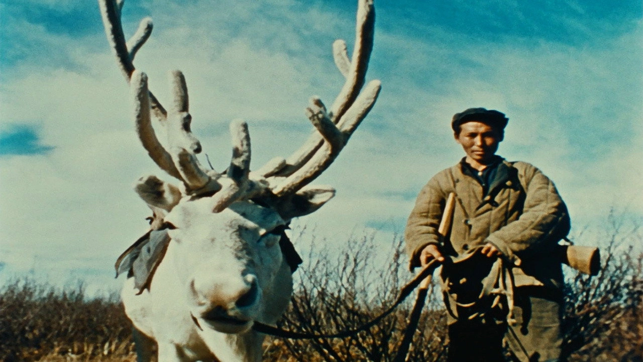 Letter from Siberia