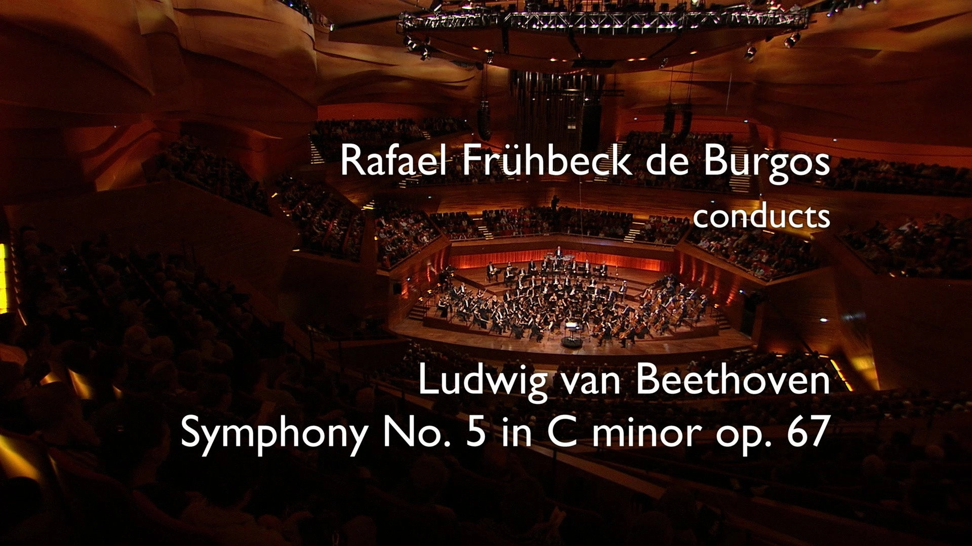 Beethoven: The Symphonies (Rafael Frühbeck de Burgos Conducts the Danish National Symphony Orchestra)
