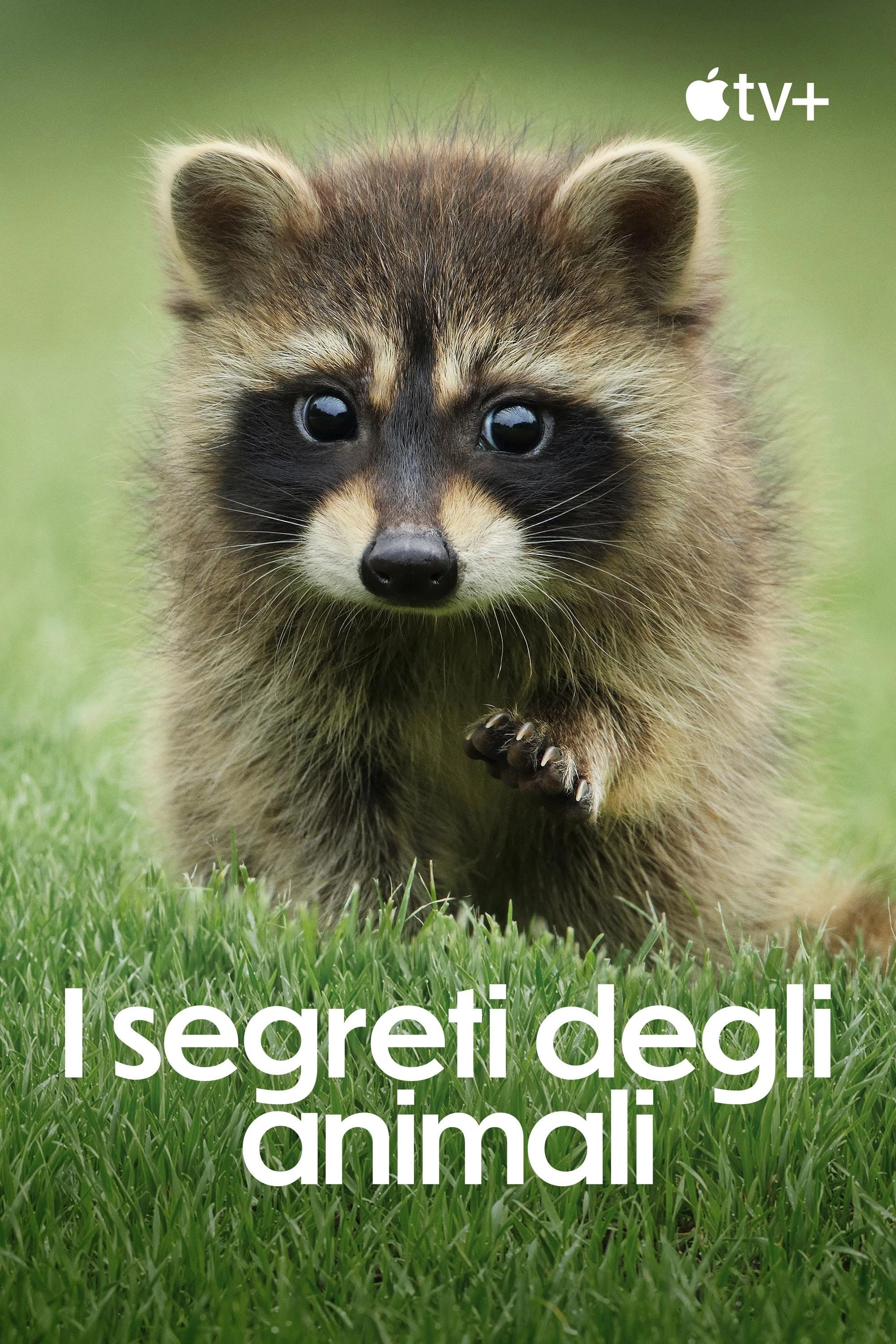 The Secret Lives of Animals