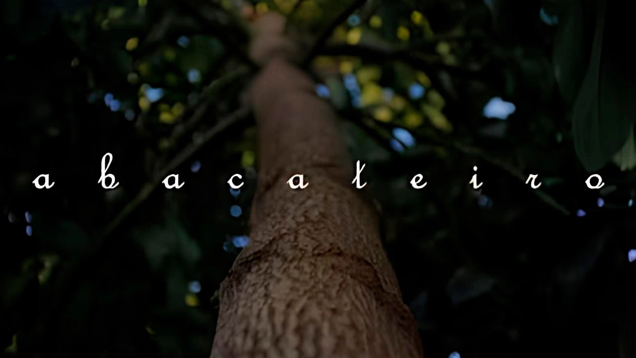 Abacateiro