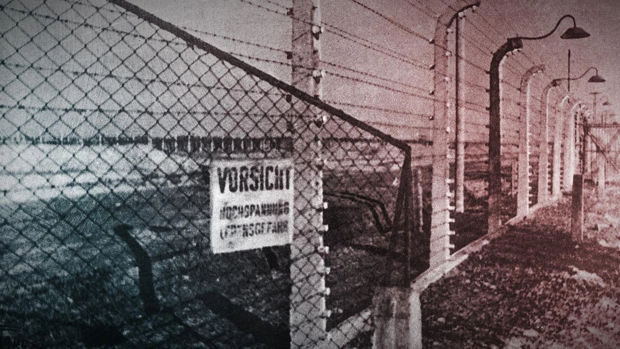 The Abyss – Rise and Fall of the Nazis