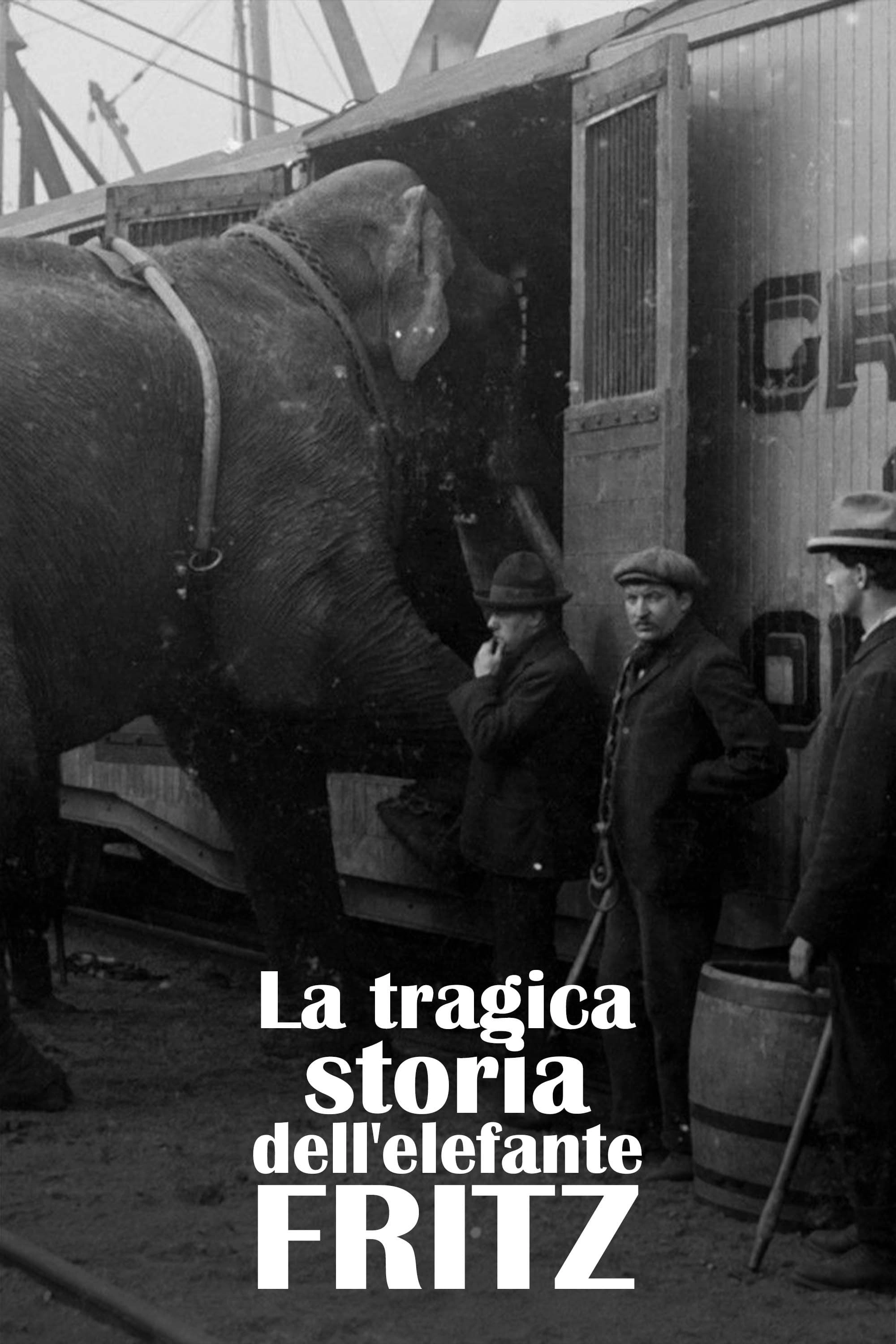 The Tragic Story of Fritz the Elephant