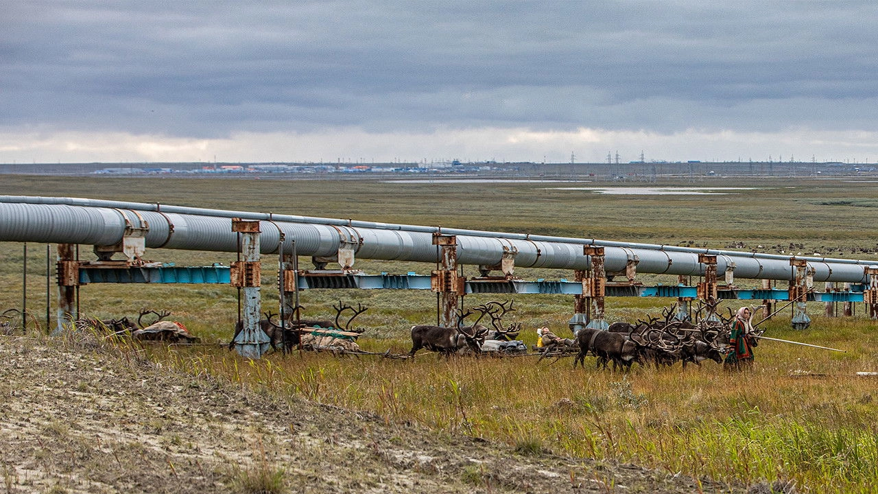 Russian Gas and the Nenets