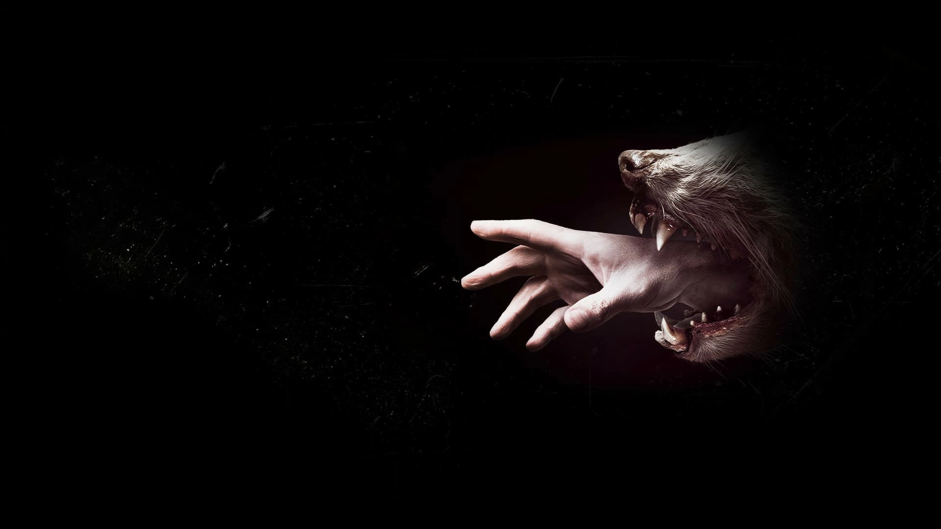 Hemlock Grove