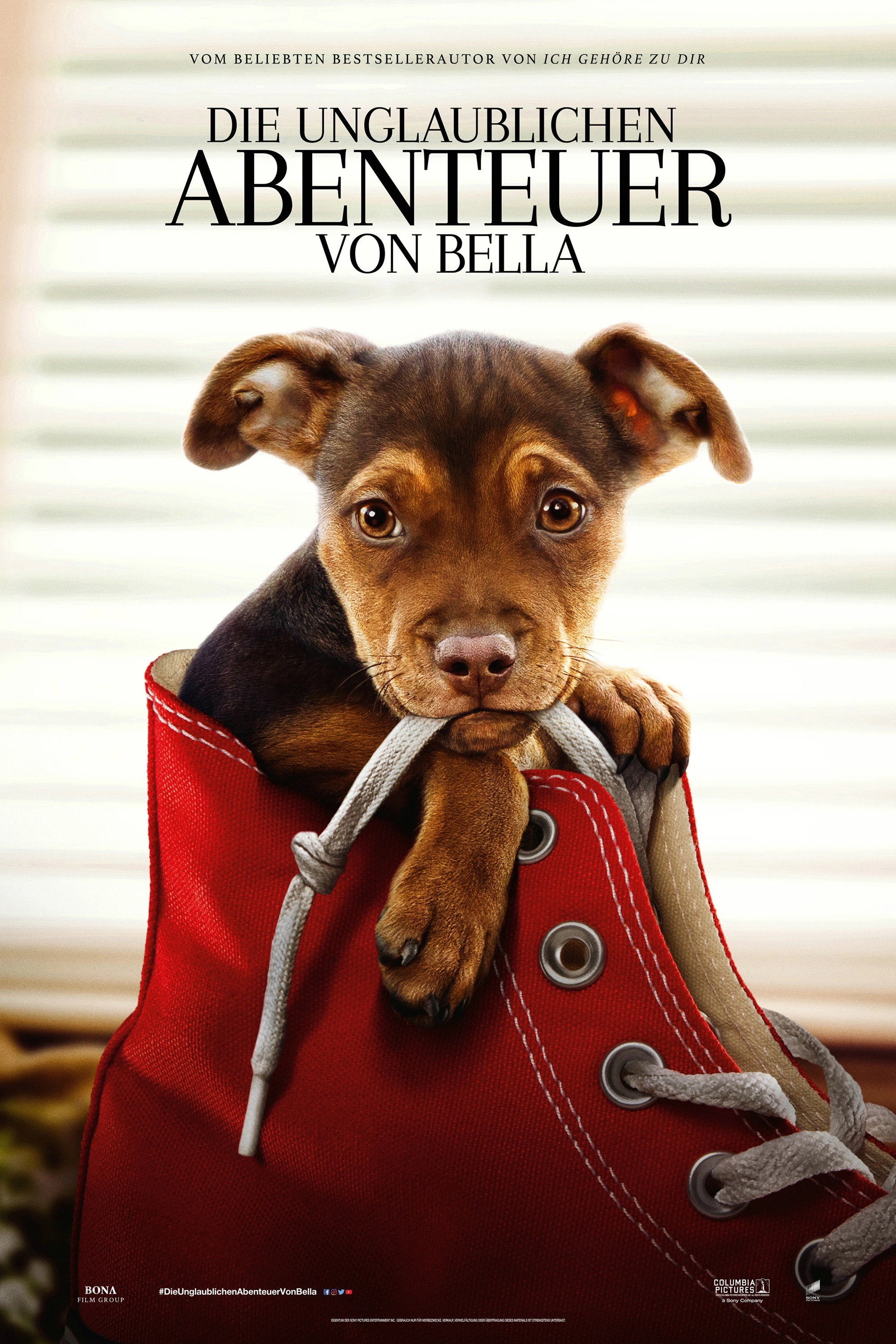 A Dog's Way Home