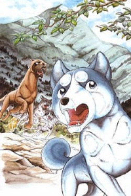 Silver Fang Legend Weed
