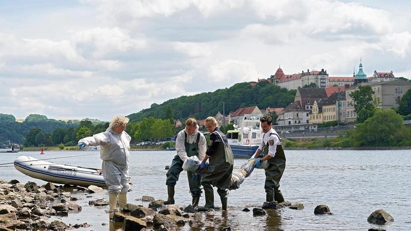 WaPo Elbe