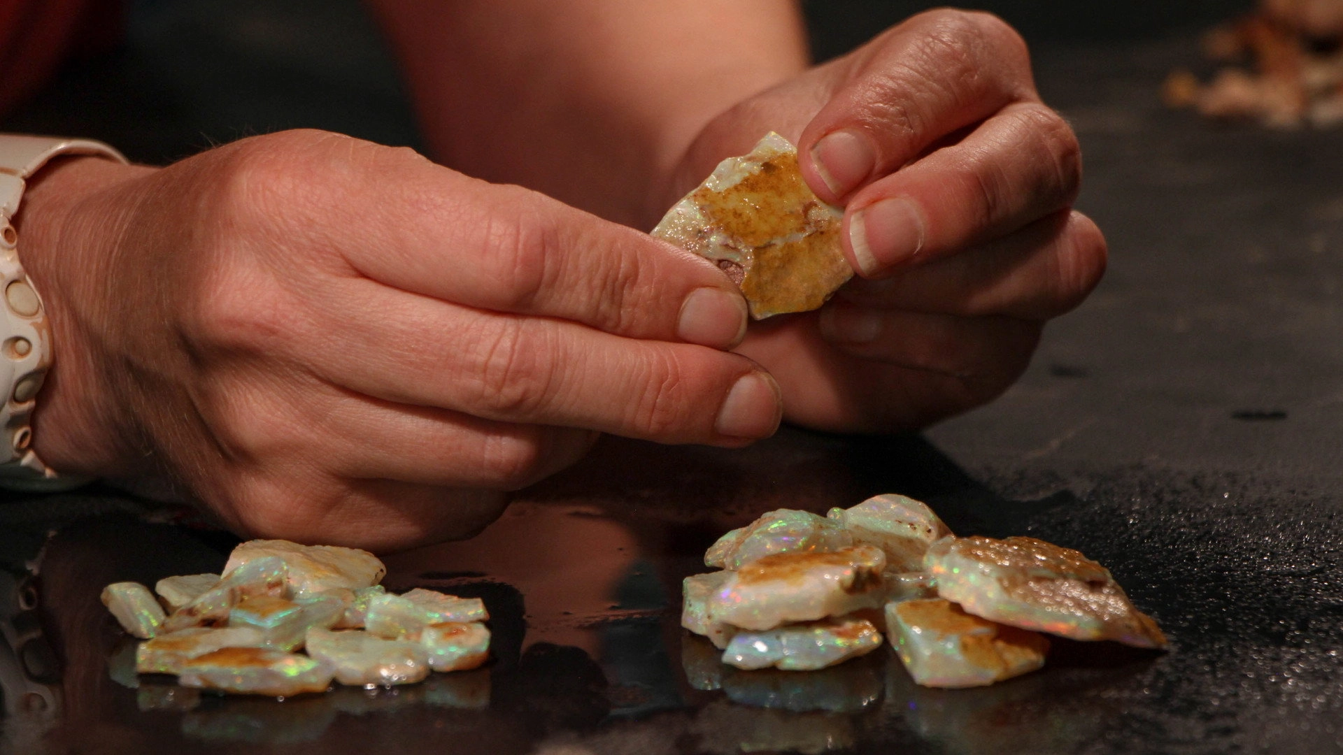 Outback Opal Hunters