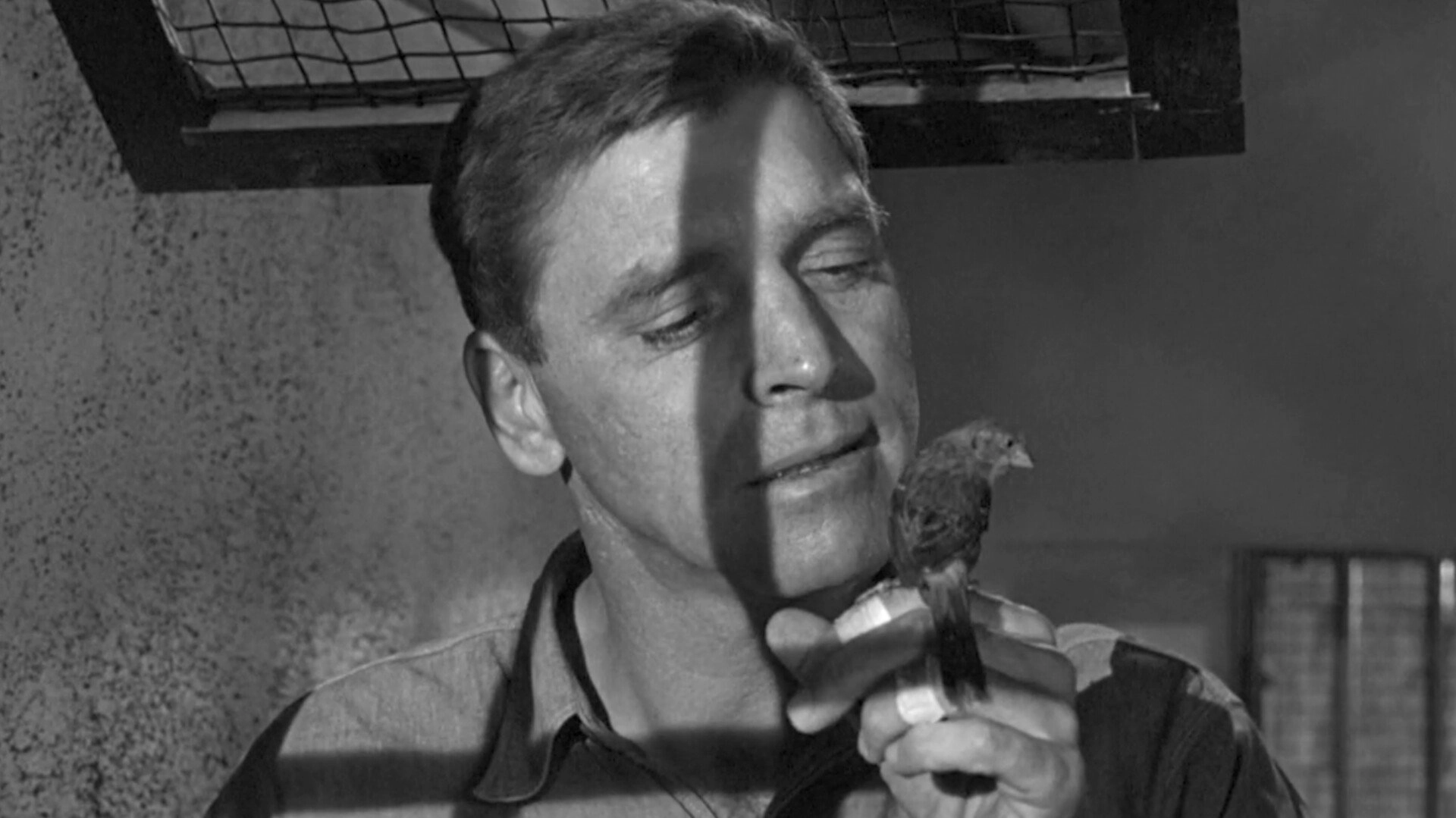 Birdman of Alcatraz