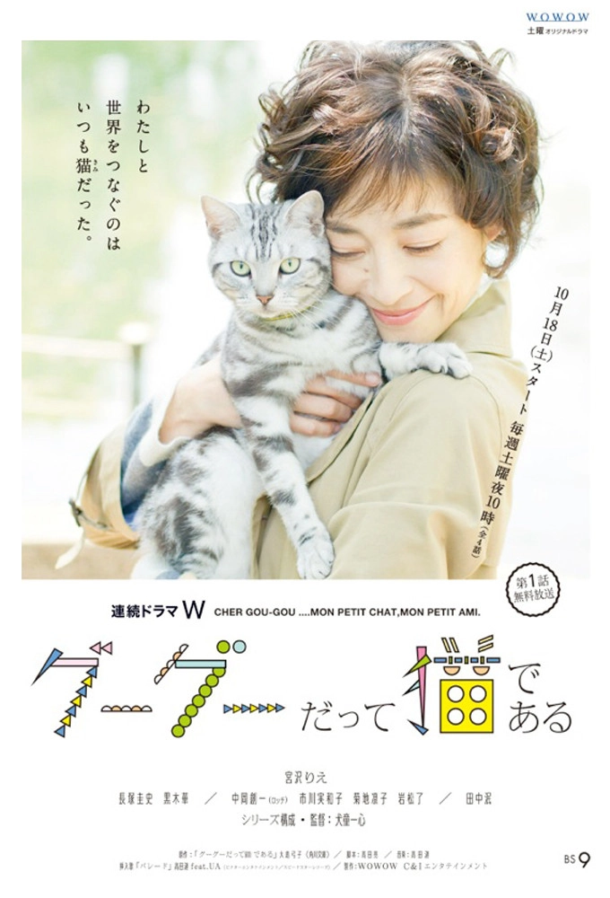 Gu Gu the Cat
