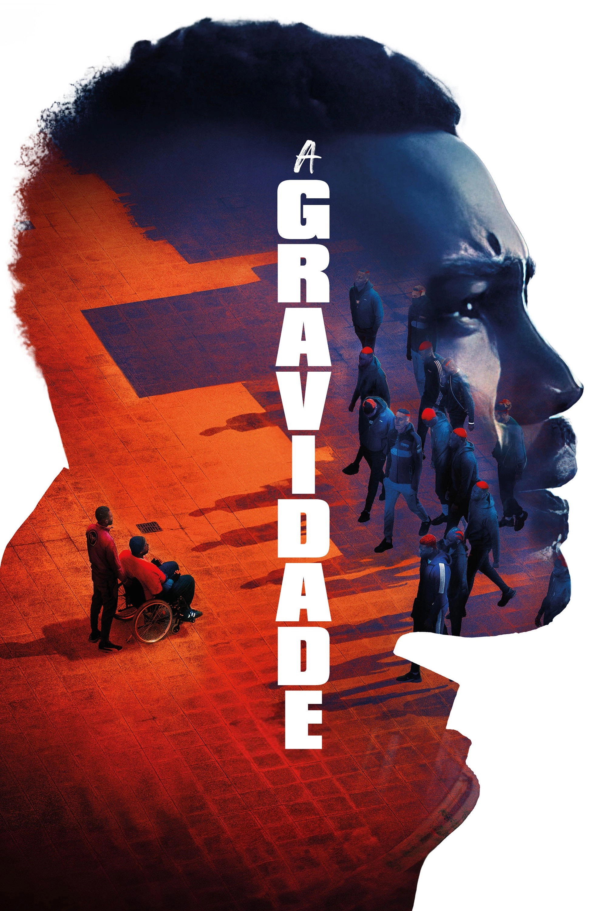 The Gravity