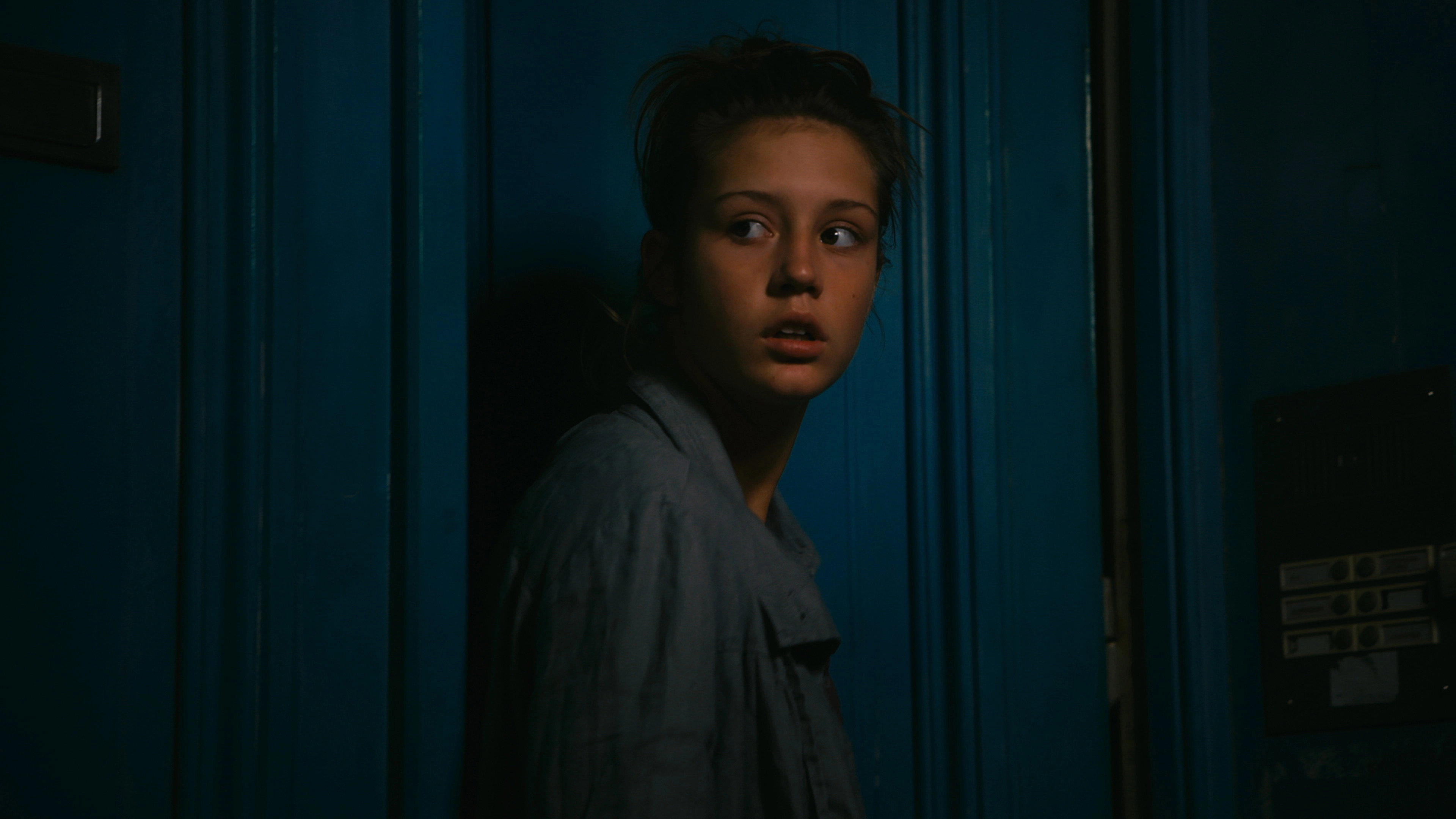 Blue Is the Warmest Color