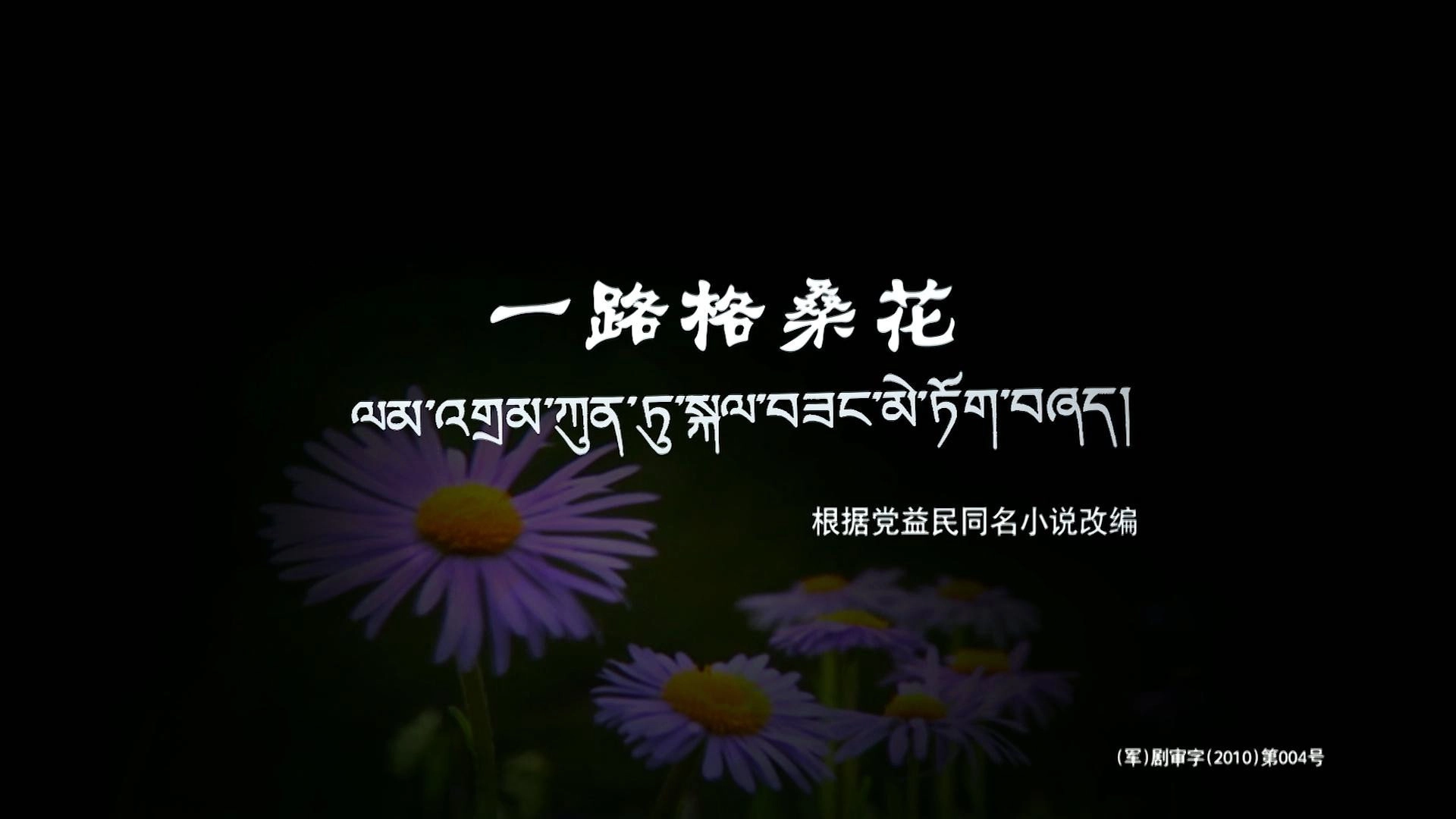 一路格桑花
