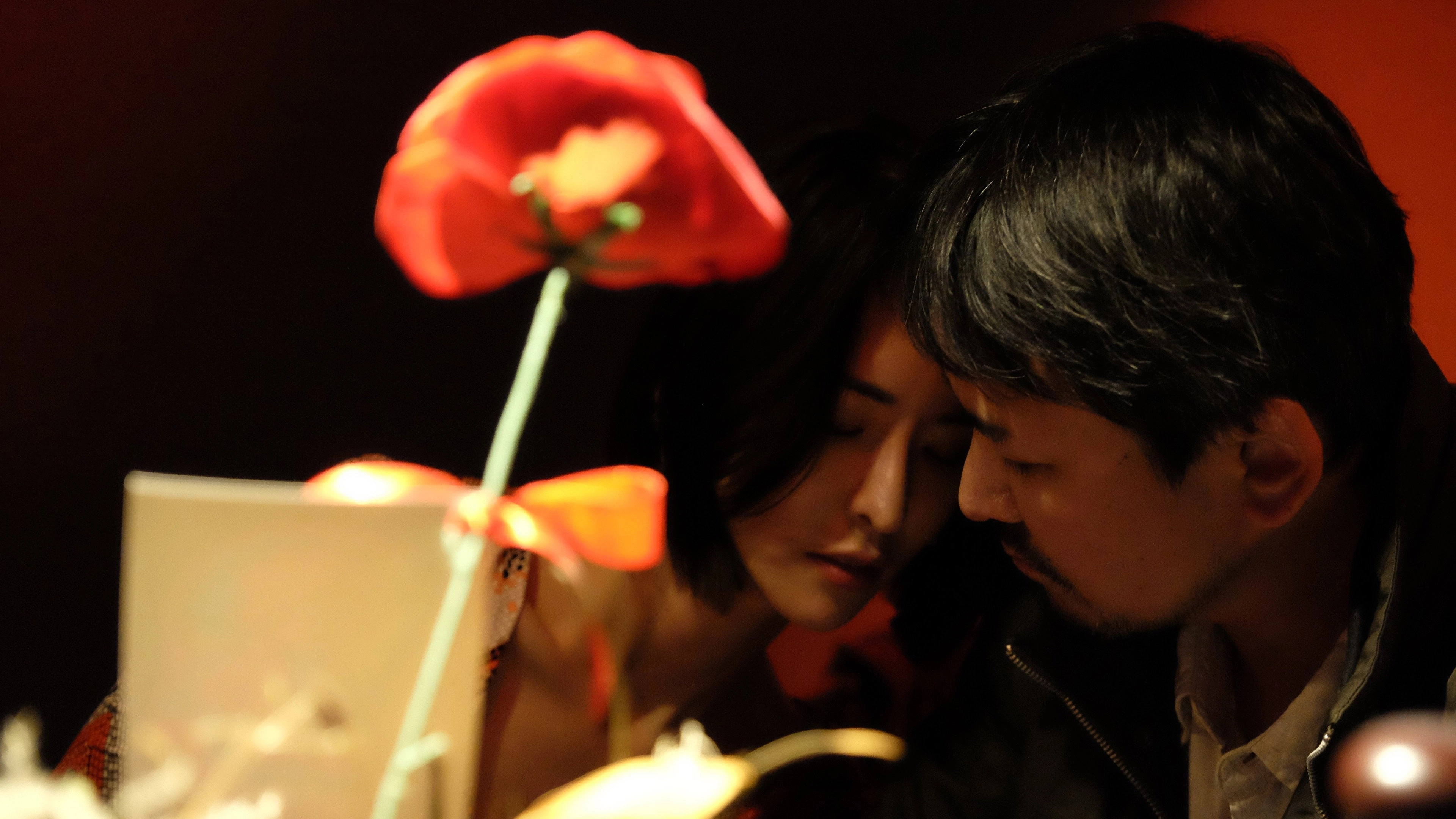 A Fool's Love