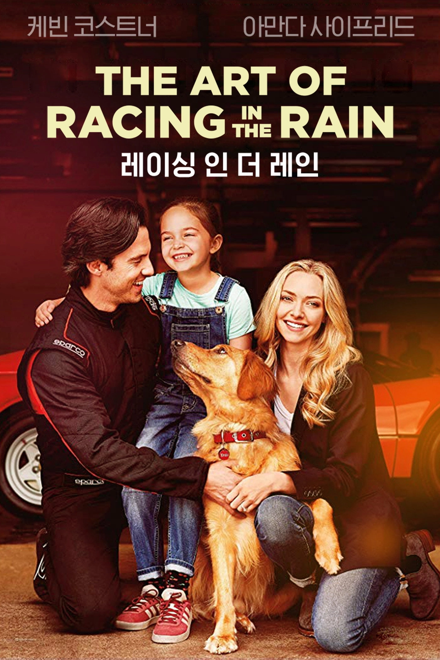 The Art of Racing in the Rain