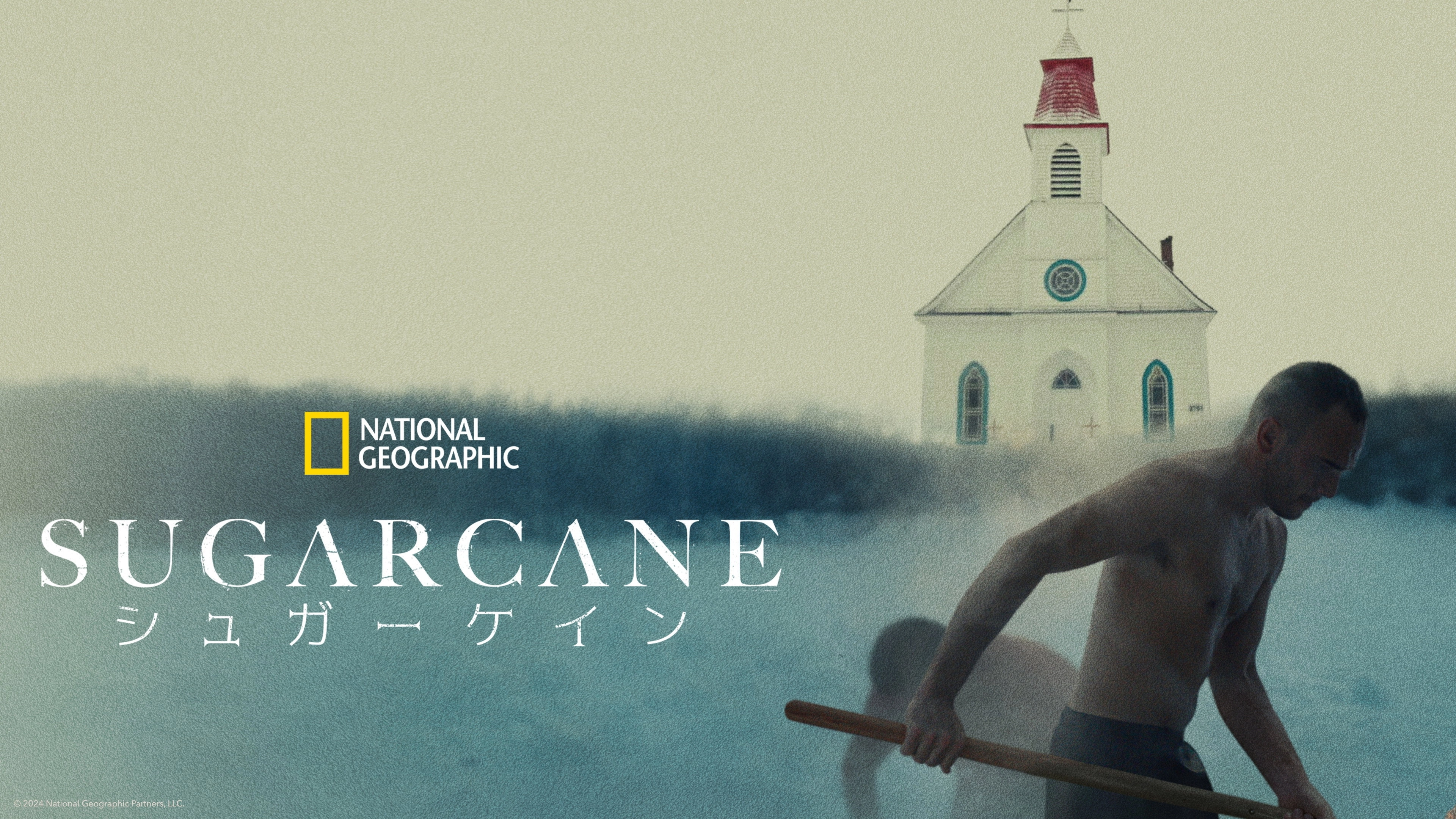 Sugarcane