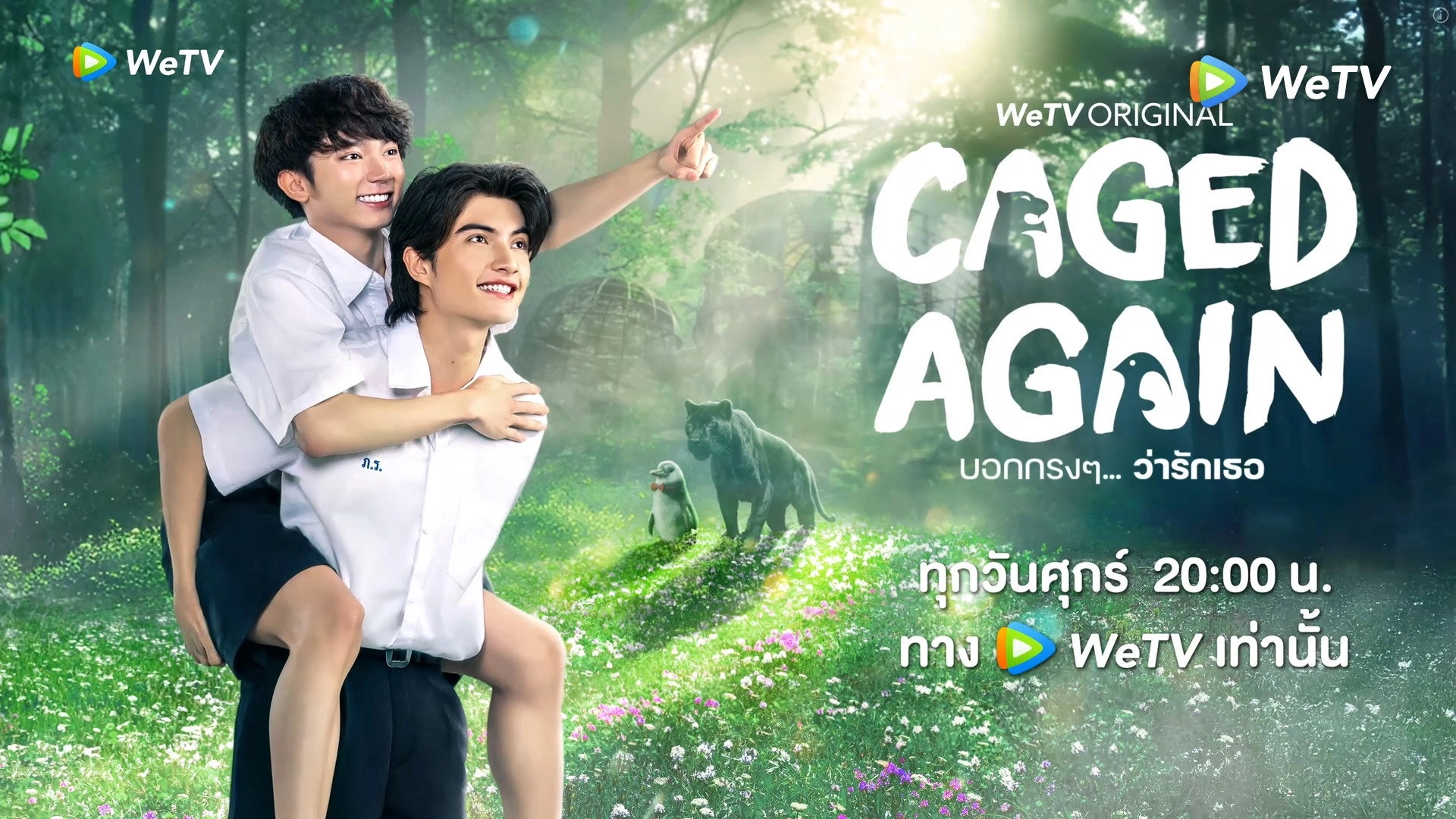 Caged Again