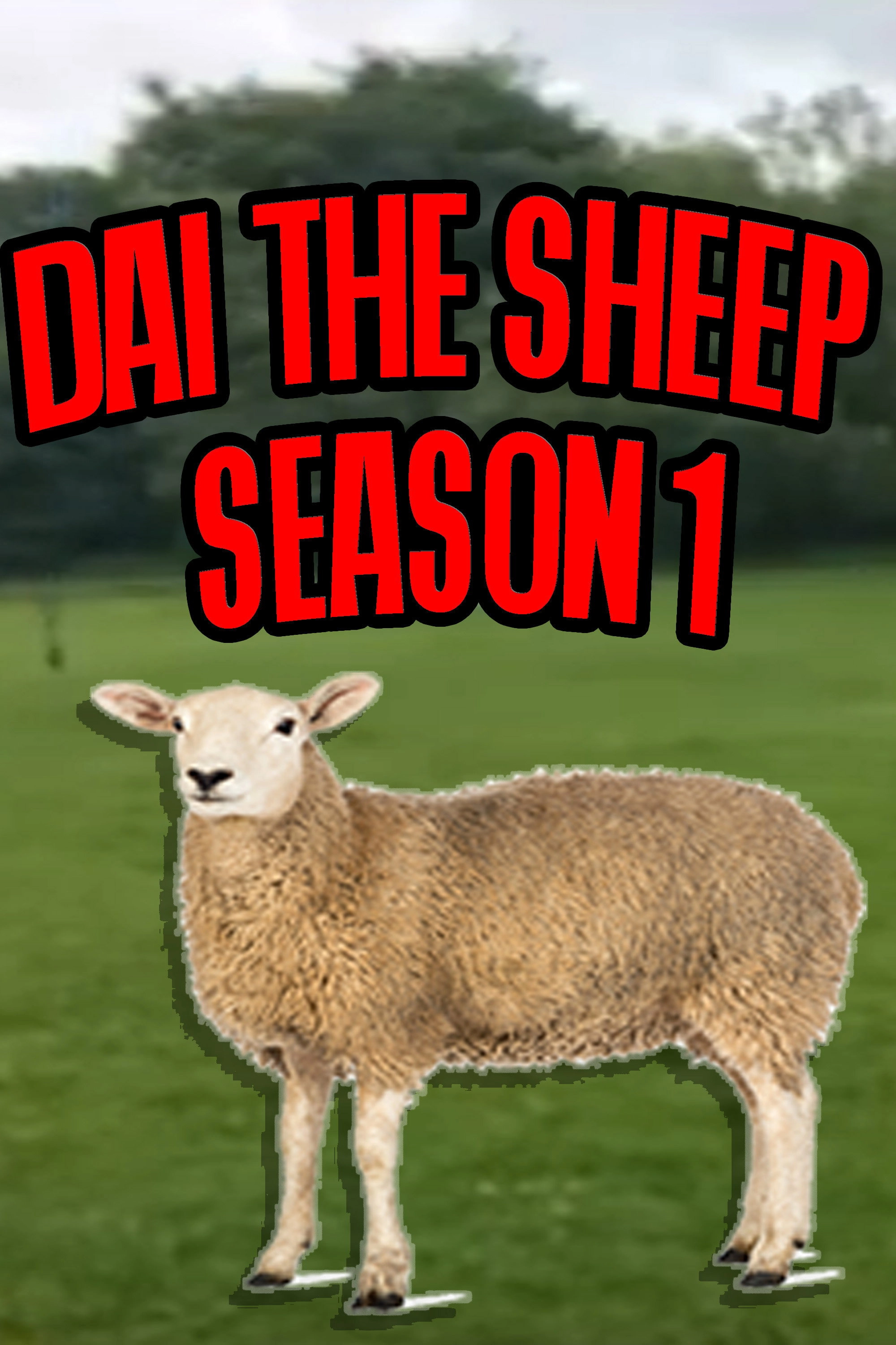 Dai the Sheep