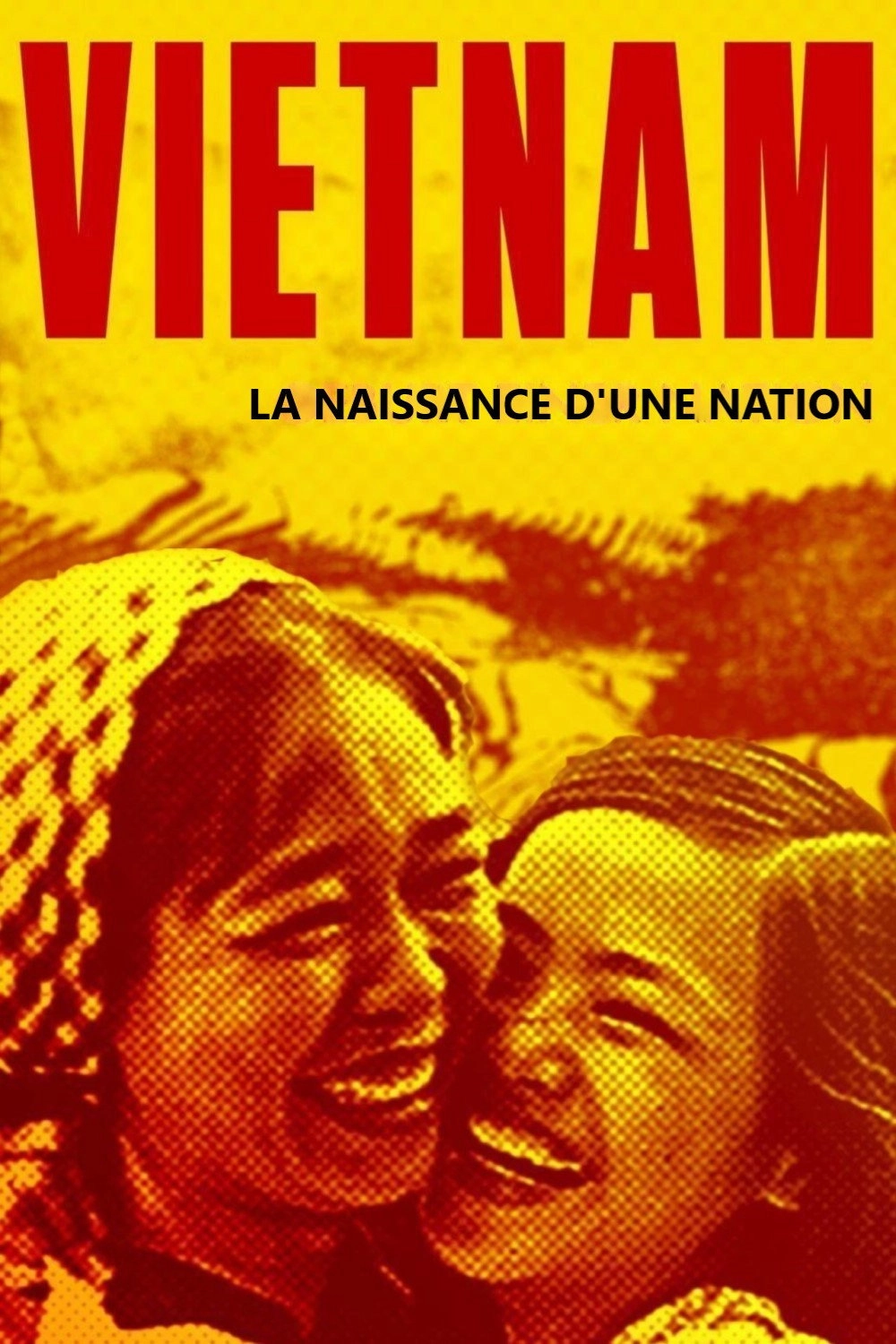 Vietnam. Geburt einer Nation