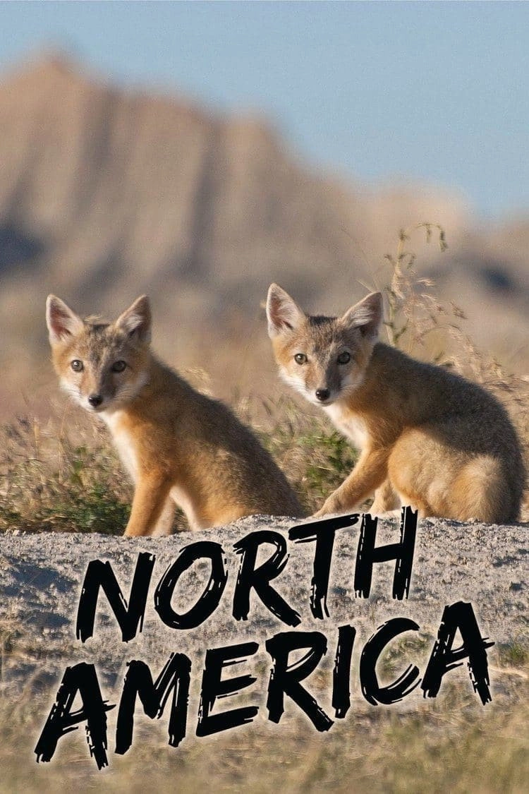 North America