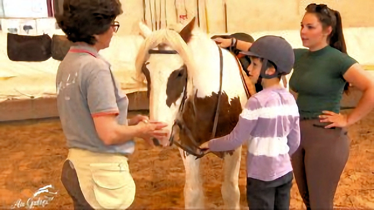 Au galop ! une saison à cheval