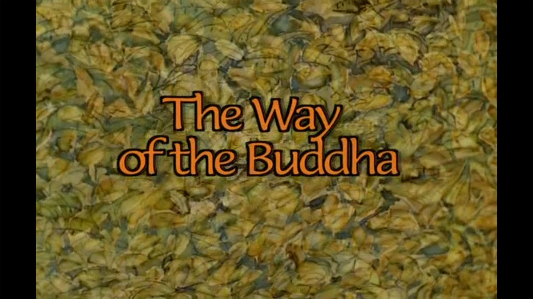 Animated World Faiths