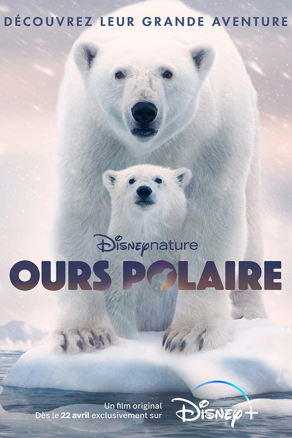 Polar Bear