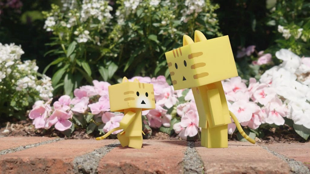 Nyanbo!