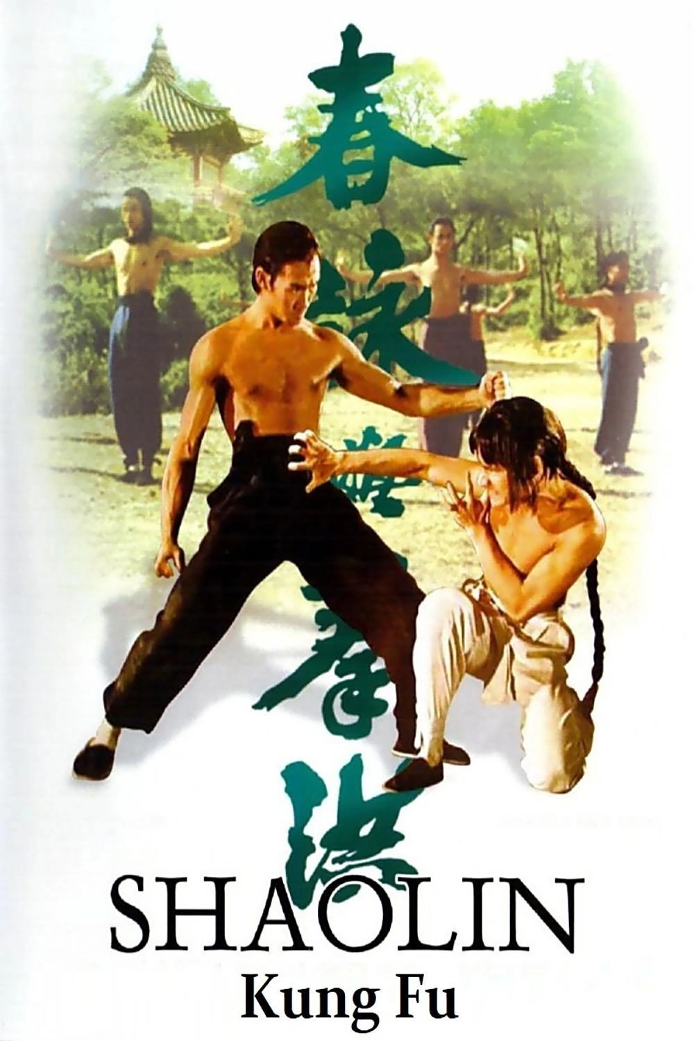 Shaolin Kung Fu