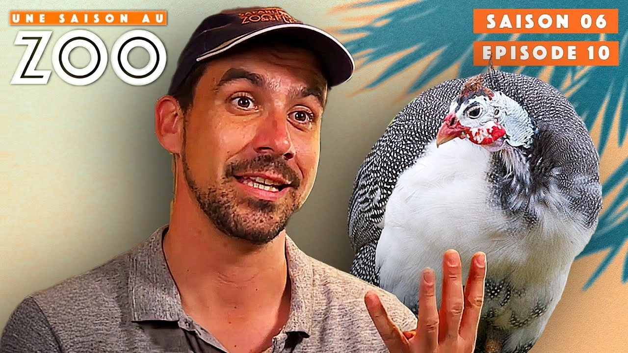 Une saison au zoo