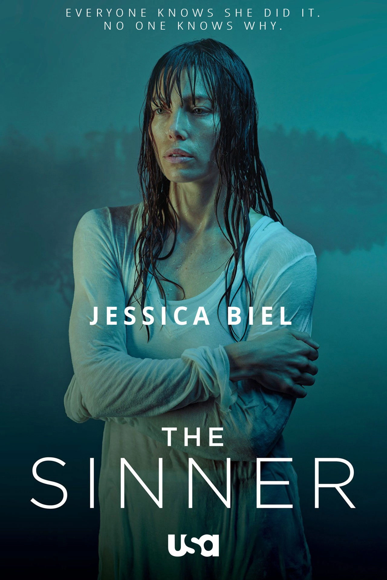 The Sinner