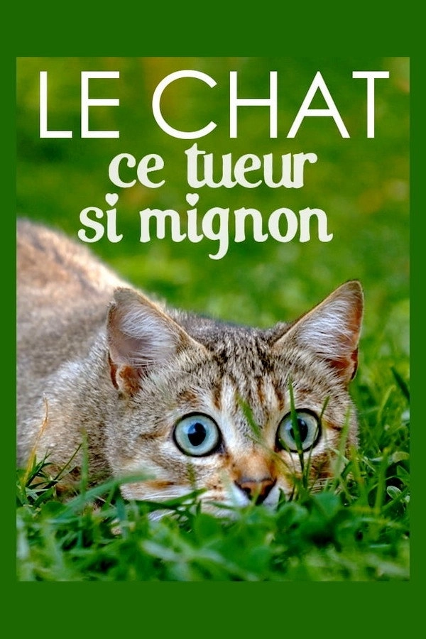 The Cat: A Cuddly Killer