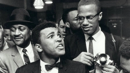 Who Killed Malcolm X?