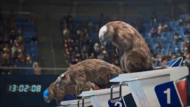 Les Marmottes