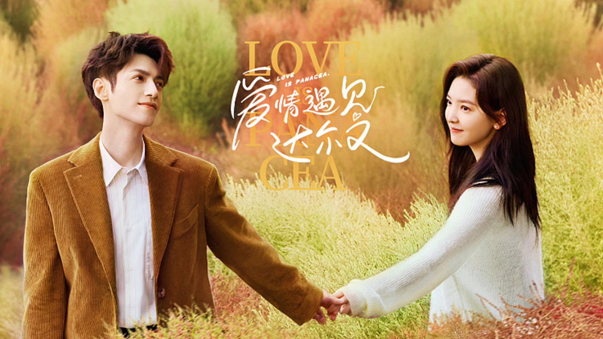 Love is Panacea