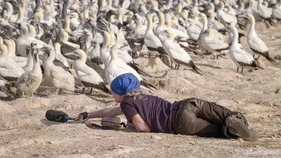 À l’écoute de la nature