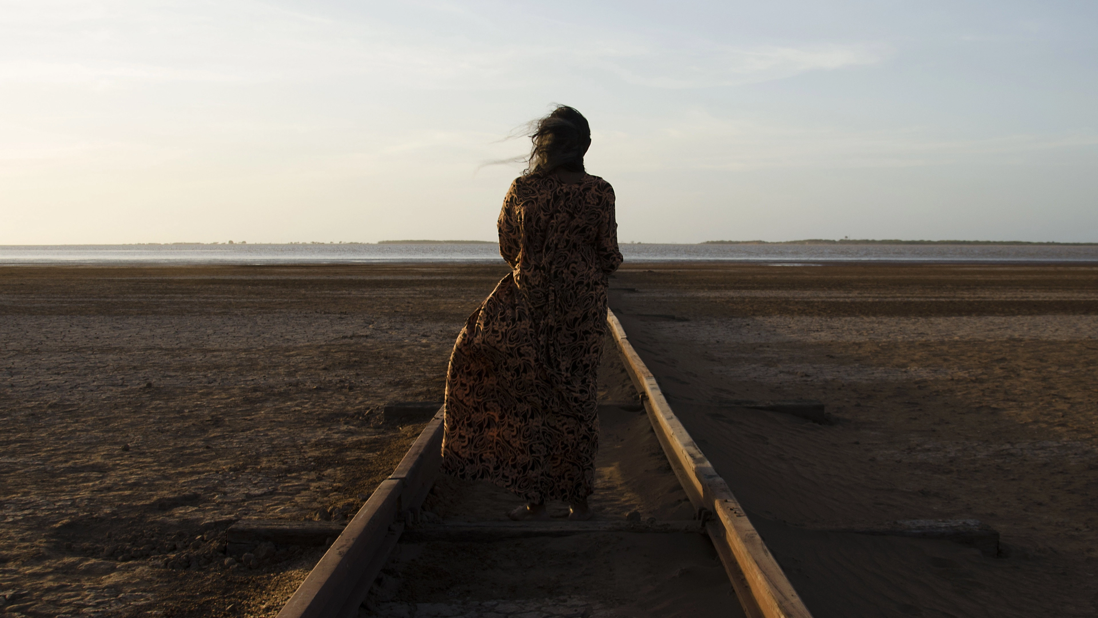 Birds of Passage