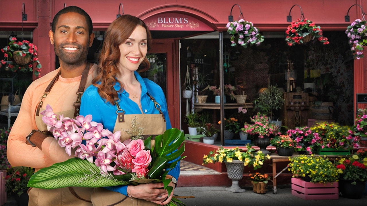 When Love Blooms