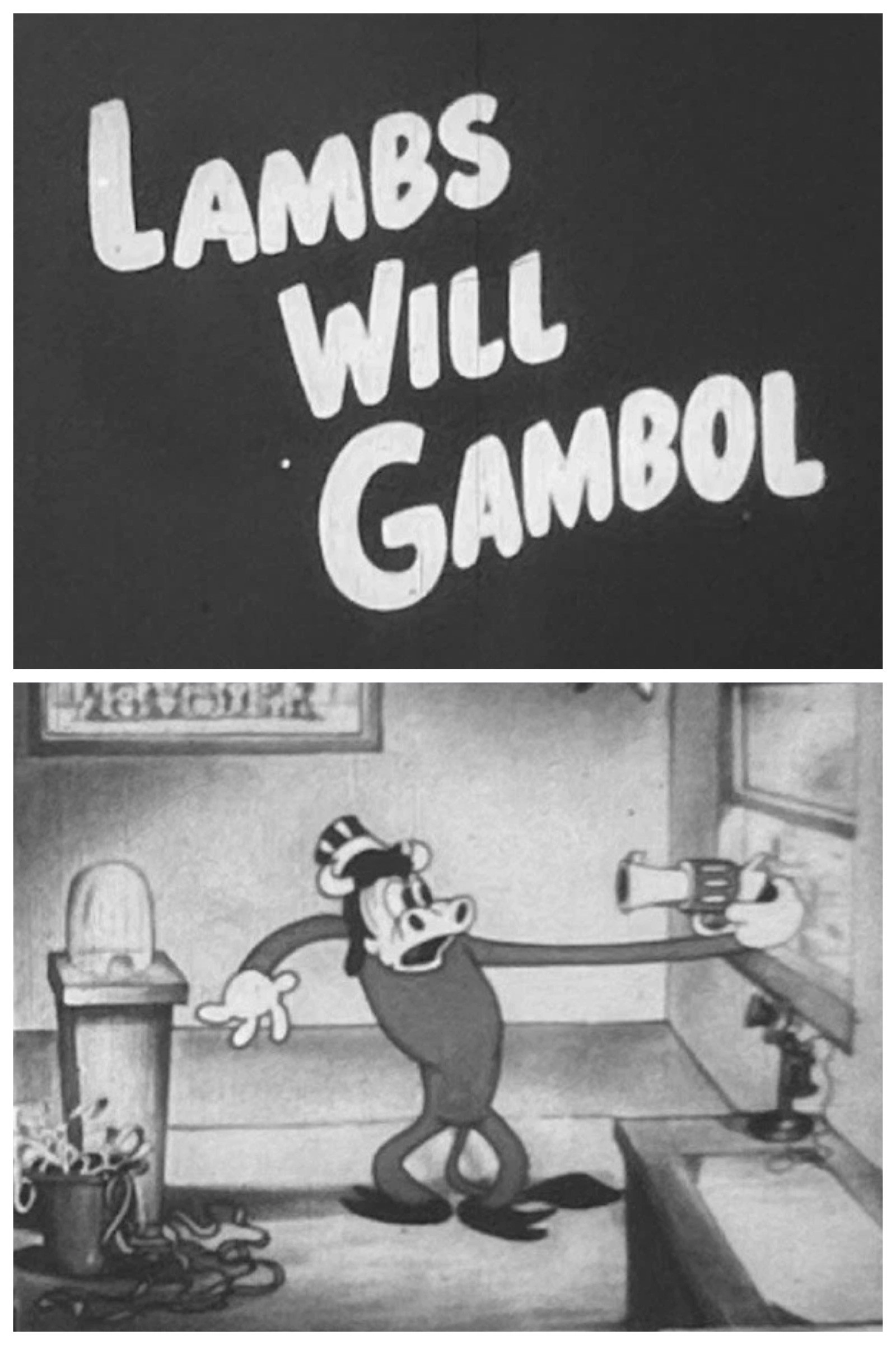 Lambs Will Gamble