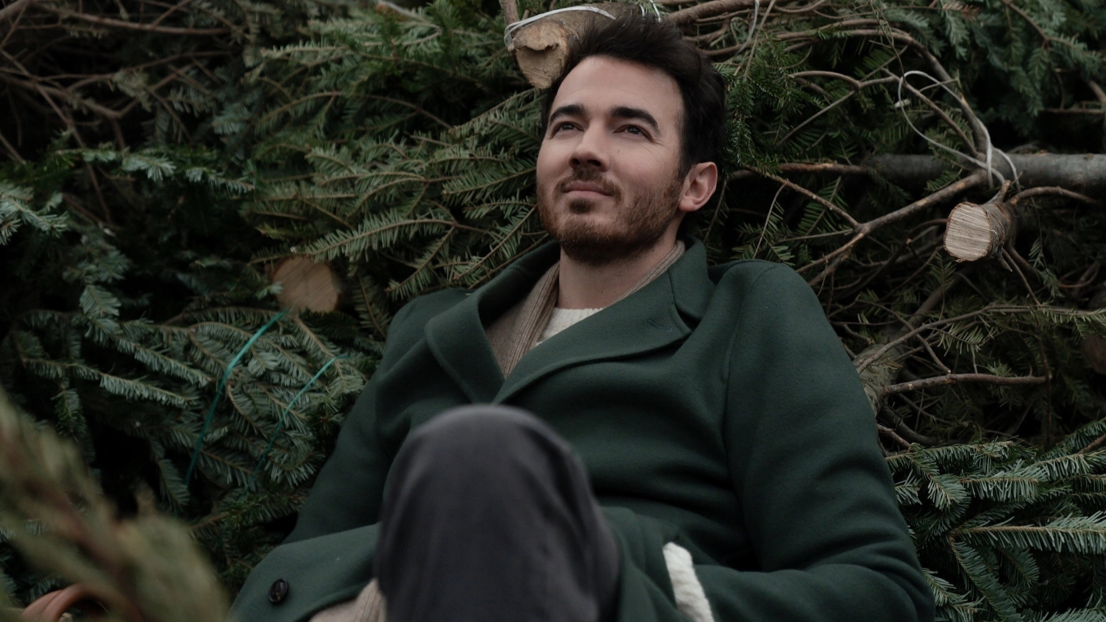A Very Jonas Christmas Movie
