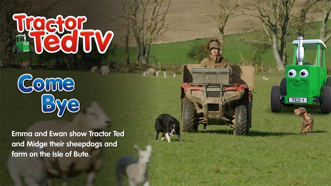 Tractor Ted