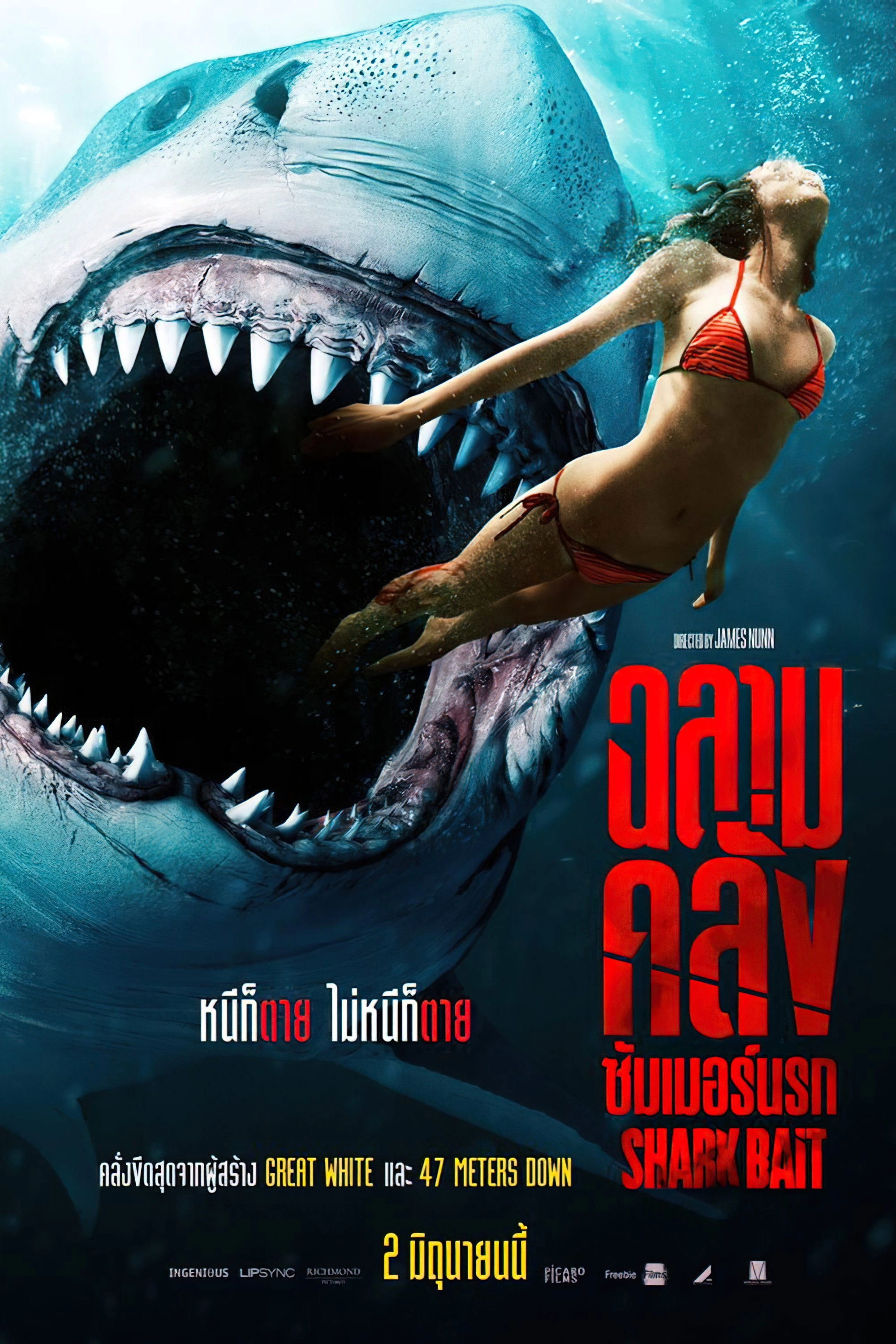 Shark Bait
