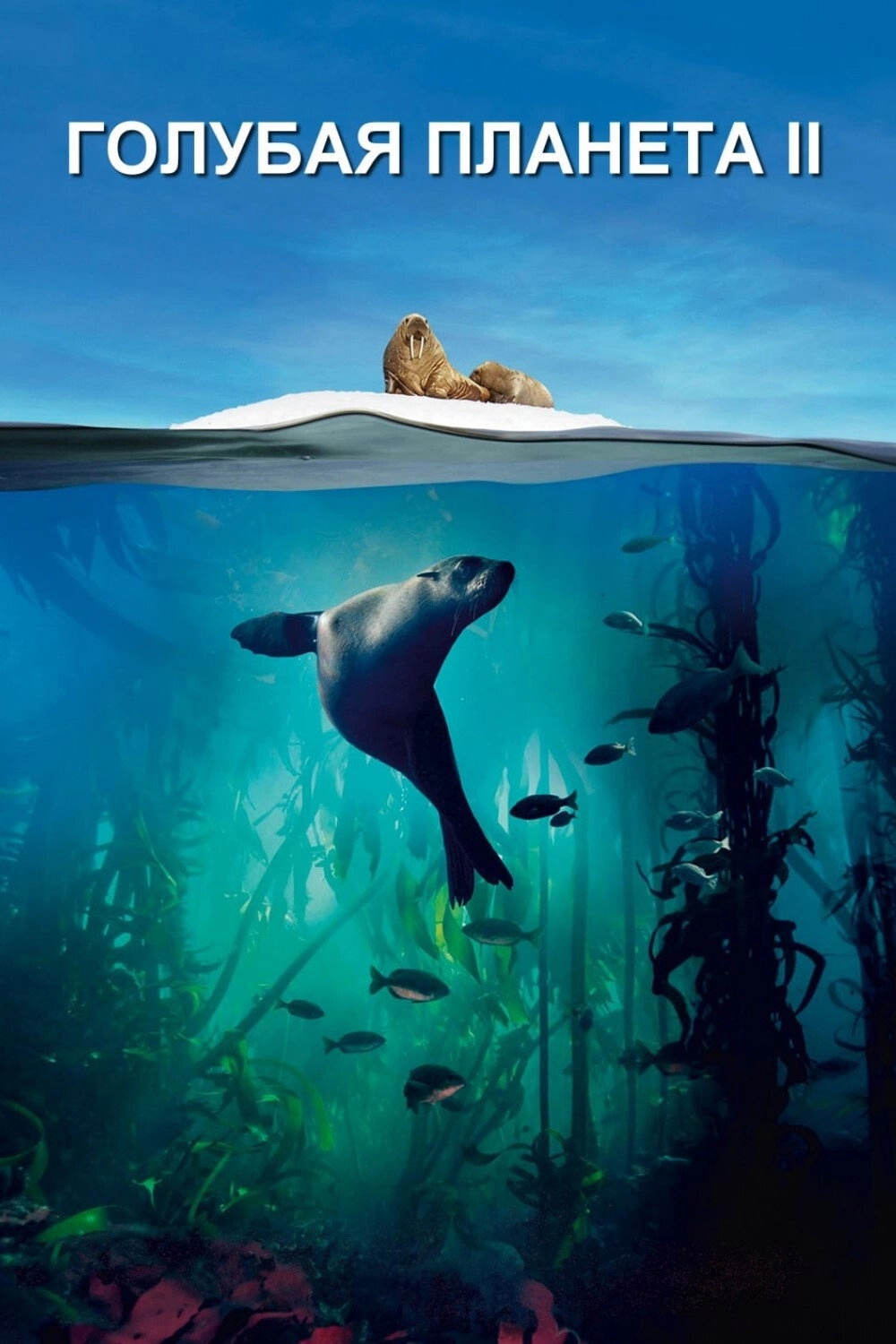 Blue Planet II