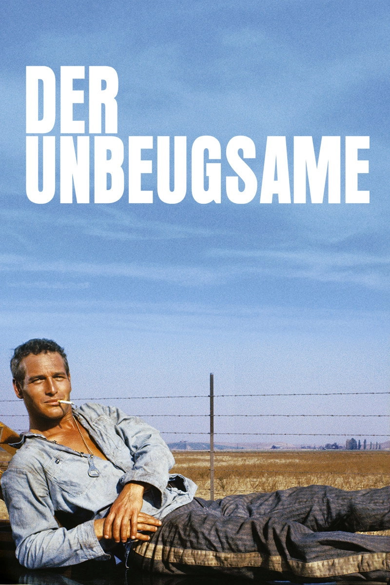 Cool Hand Luke