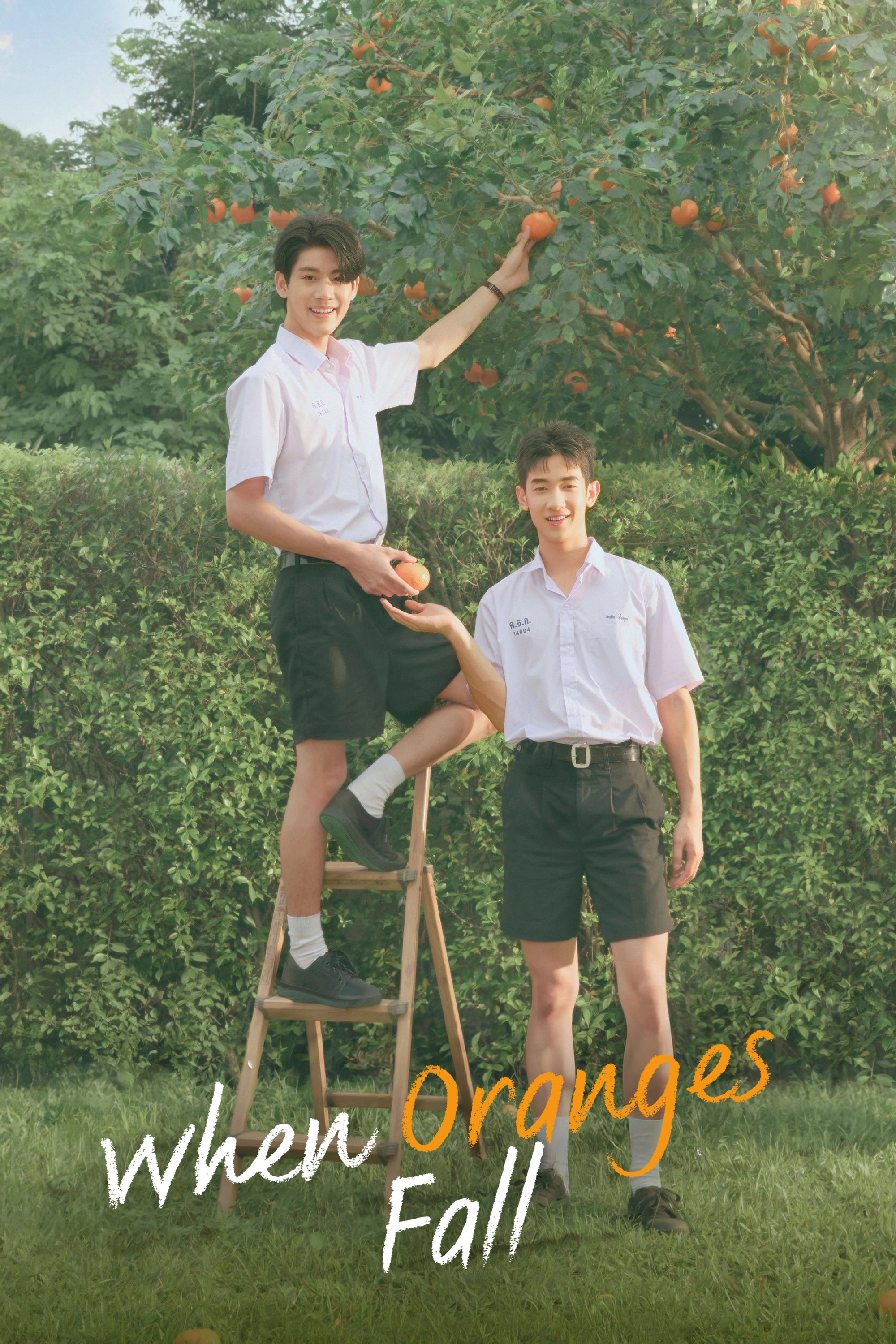 When Oranges Fall