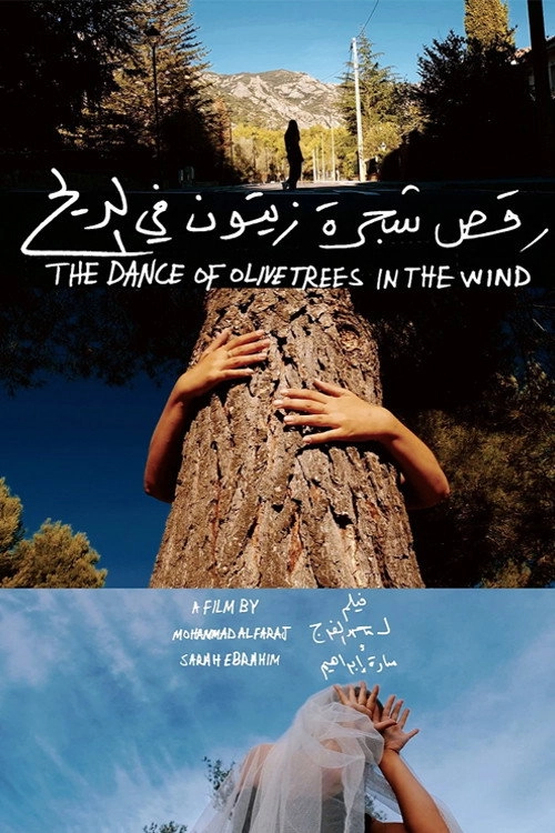 The Dance of Olive Trees in the Wind
