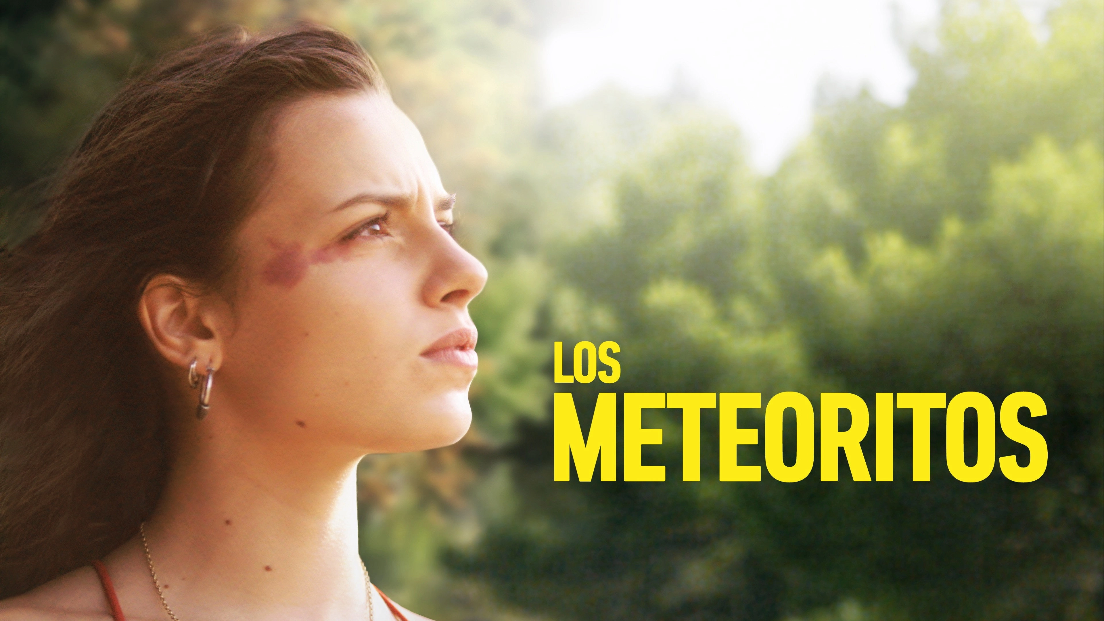 Meteorites