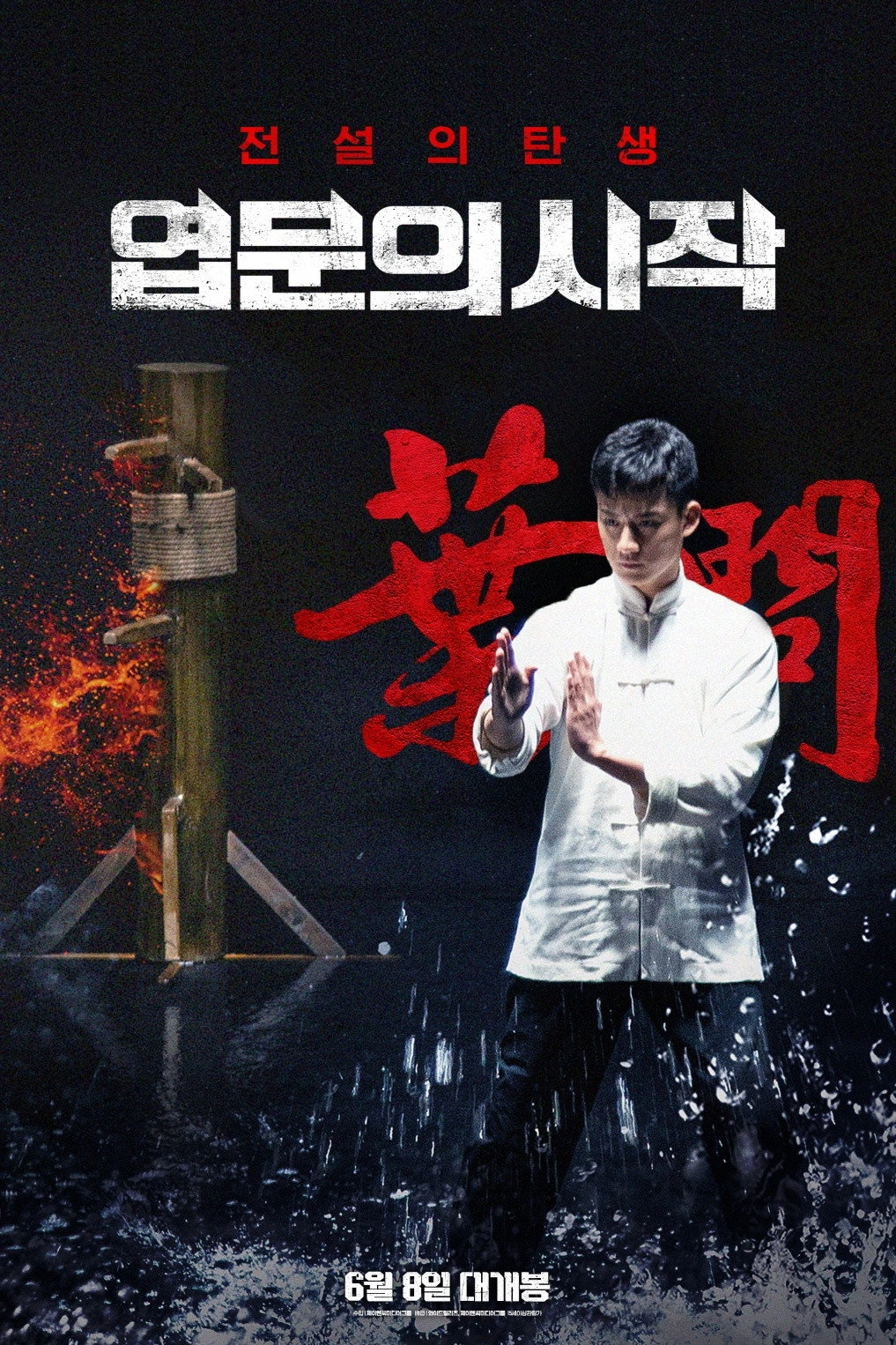 Young Ip Man: Crisis Time